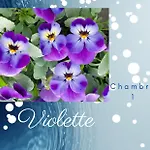 Boningal Nocleg ze śniadaniem Moissac