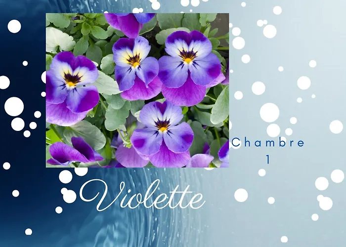 Boningal Couette-café Moissac