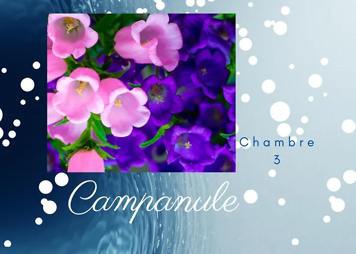 Boningal Couette-café Moissac