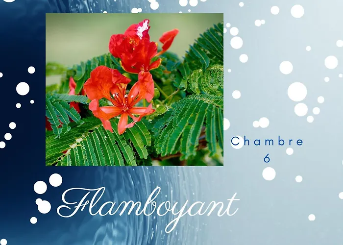 Couette-café Boningal